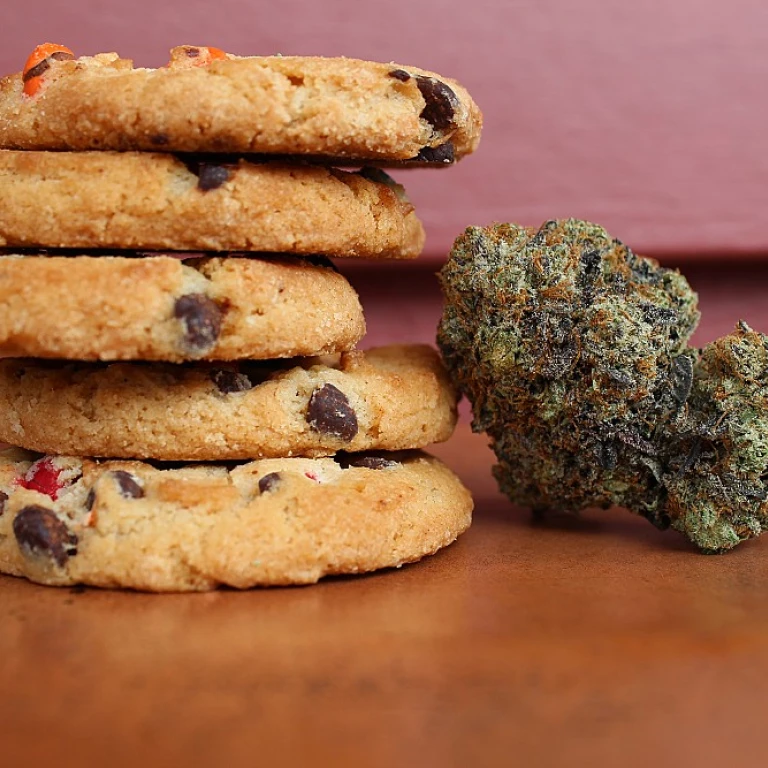 Tout savoir sur le poids du CBD : un guide complet