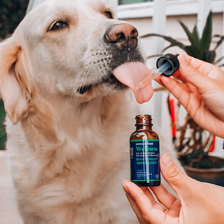 Troubles du Sommeil: Le CBD est-il une Solution Miracle?