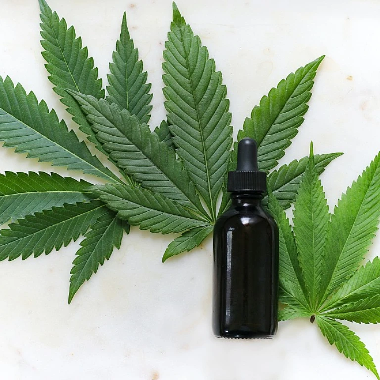 Les frères du CBD : une exploration des défis et opportunités