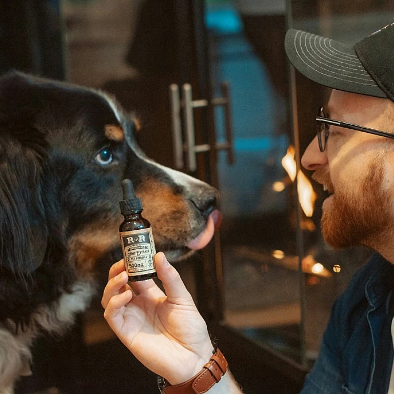 Conduire avec du CBD sans THC : ce que vous devez savoir