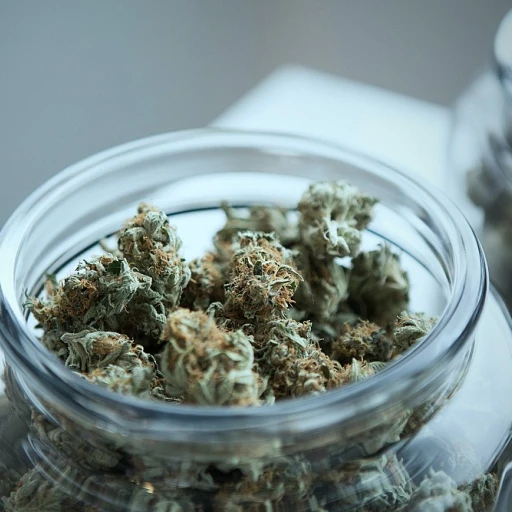Comprendre les bienfaits du cannabis sativa