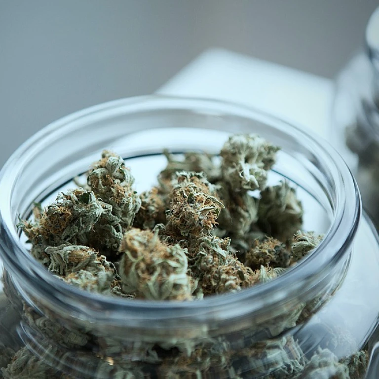 Les mystères du cbn : un regard approfondi sur le cannabidiol