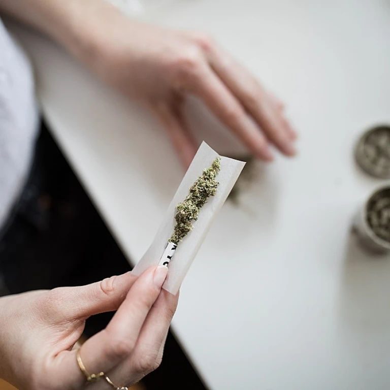 Profitez des offres spéciales sur le CBD en France