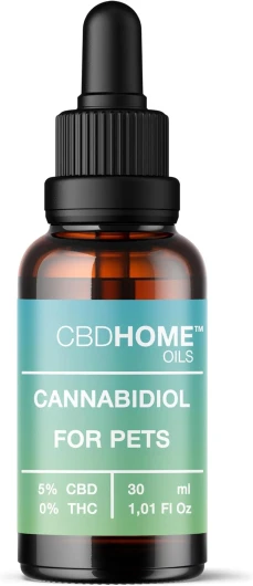 61V7z9r9bwL._AC_SL1500_