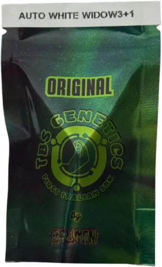 PlantX Genetics - Auto white widow - Graines à collectionner autoflorissantes - 3 graines -