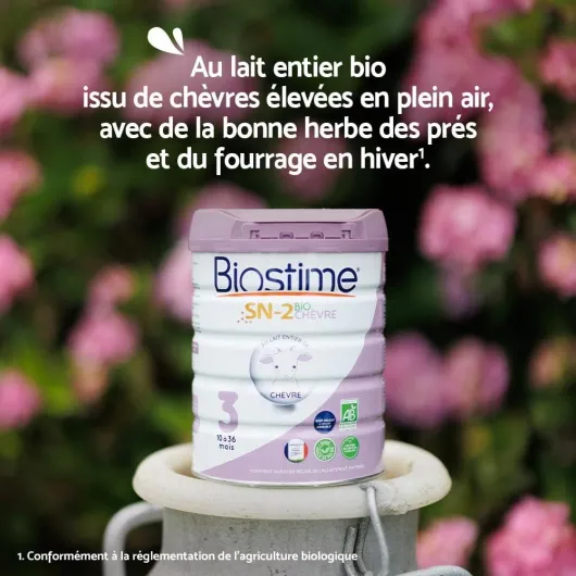 61zgbDQxpwL._AC_SL1000_