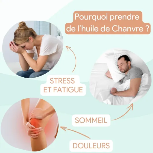 61i9vrpAAcL._AC_SL1080_