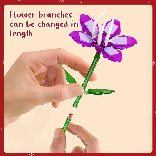 61nFbxkZaXL._AC_SL1000_