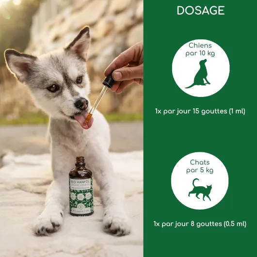 81iR8KnaKLL._AC_SL1500_