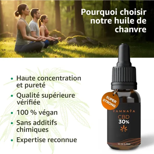 81XM5M0fklL._AC_SL1500_