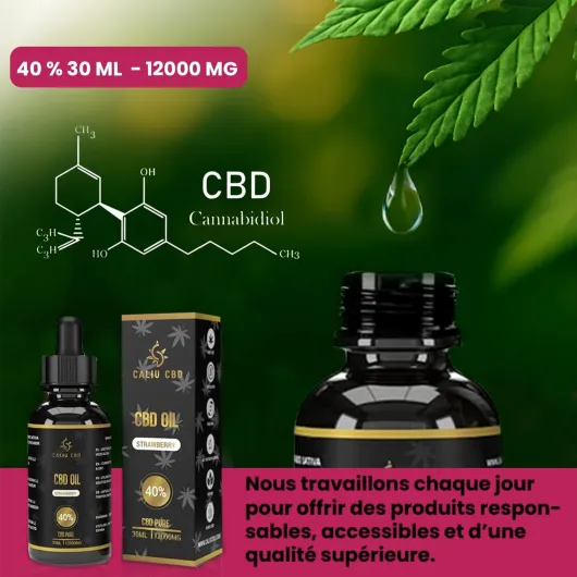 81wFRridAQL._AC_SL1500_