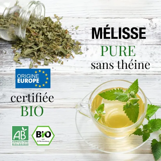 81ntzQYQLeL._AC_SL1500_