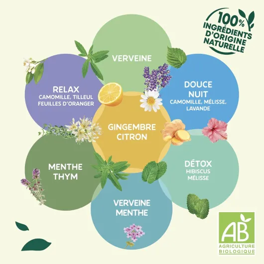 71Wv9hE 0ZL._AC_SL1500_