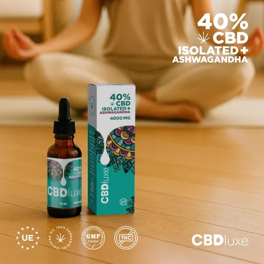 81EK1Rn4MZL._AC_SL1500_