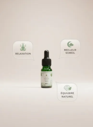 41bY87cCI7L._AC_SL1184_