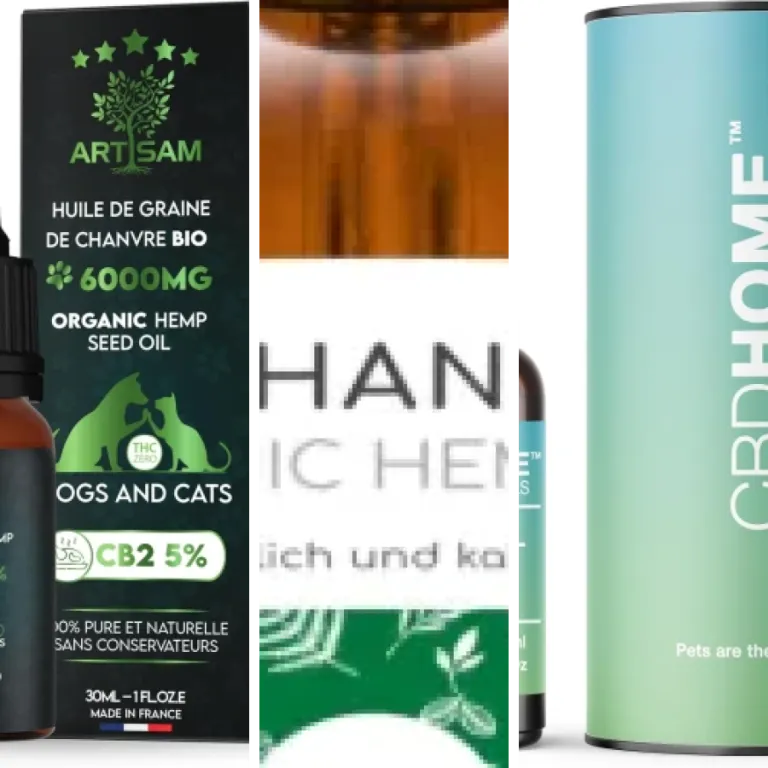 Les meilleurs huiles CBD pour chiens : notre top 7 (2026)
