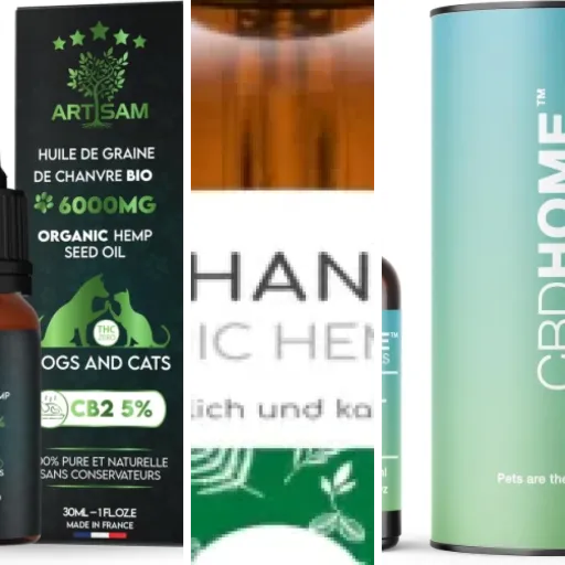 Les meilleurs huiles CBD pour chiens : notre top 3 (2026)