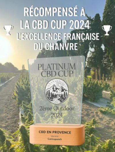 Huile Premium 20% Pressée à Froid - Formule Naturelle - Made in France - Cultivé en Provence - 10ml (20%) (Nature)