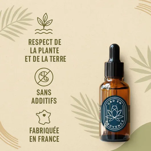 61a9pdqLBnL._AC_SL1024_