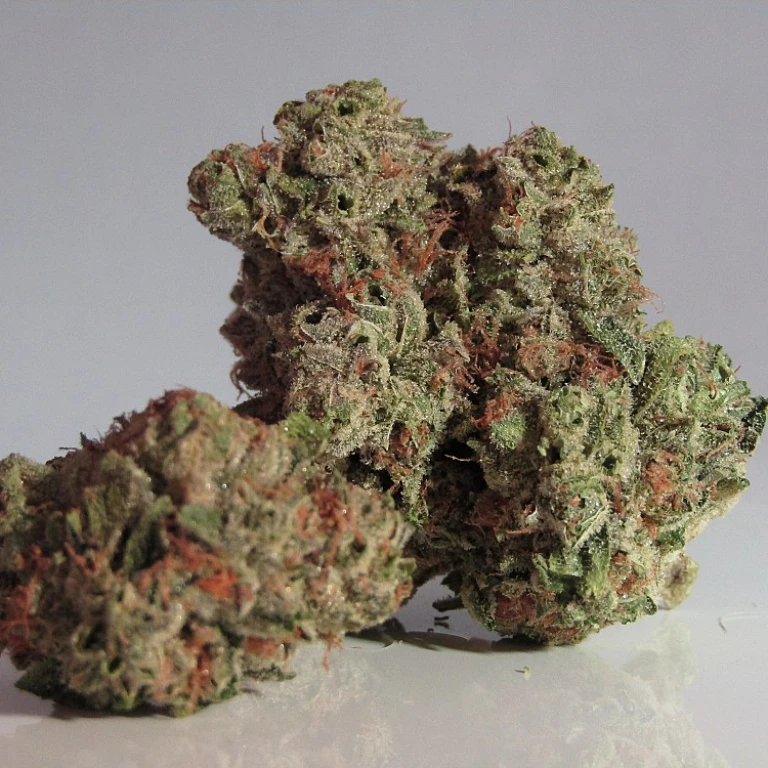 CBD et Sport : Votre Nouveau Partenaire Performance
