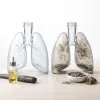 Vaporisation versus combustion du CBD : ce que disent vraiment les données sur la santé respiratoire