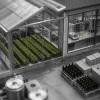 Le CBD à 2 mg par jour : comment la limite EFSA redistribue les cartes pour toute l'industrie