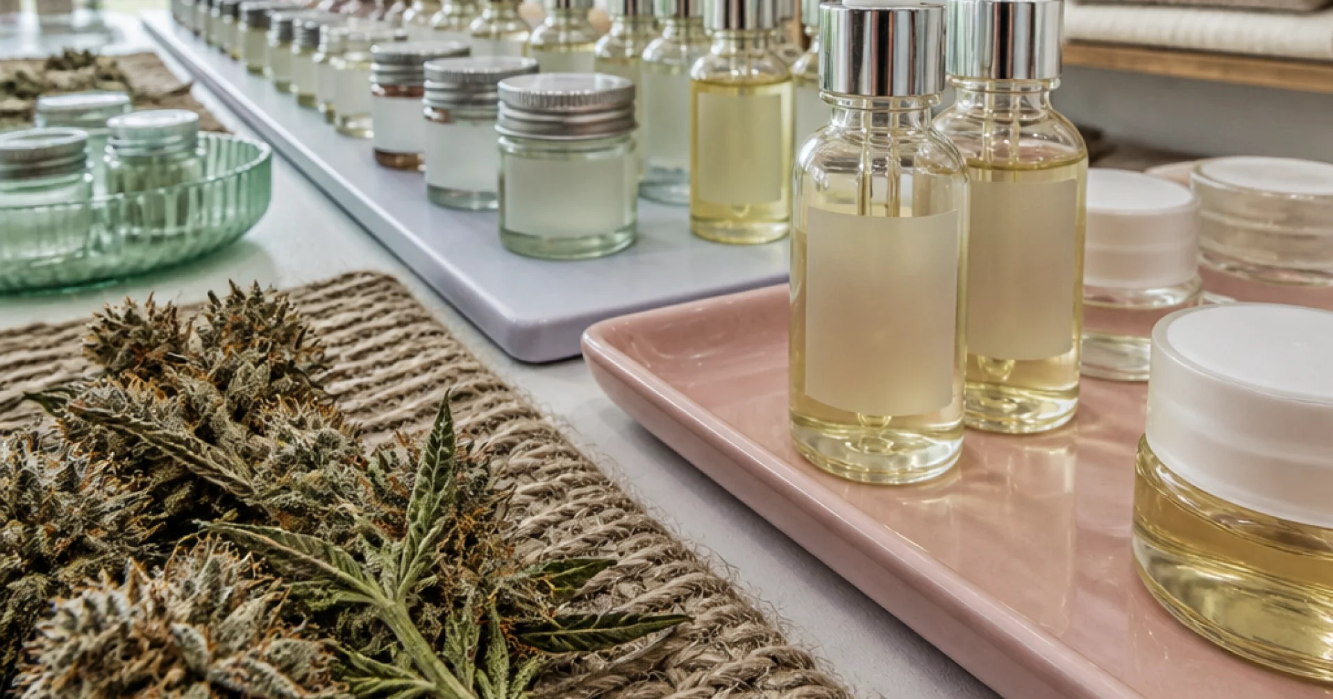 La guerre des labels dans le CBD : quand la transparence devient le seul vrai argument de vente