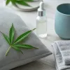 CBD et canicule : récupérer, mieux dormir et gérer le stress thermique en plein été