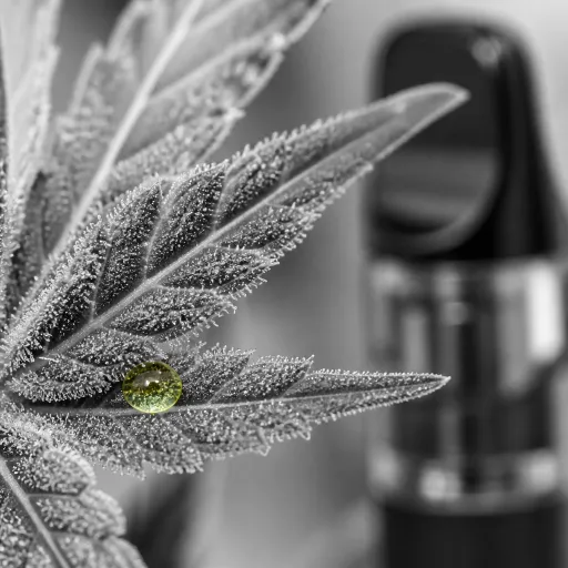 E-liquide CBD : comment choisir sa concentration et son appareil pour une vape efficace en 2026